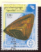 cambodge1